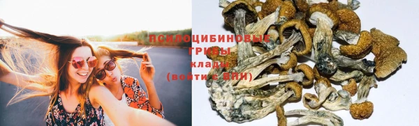 прущие грибы Белоозёрский