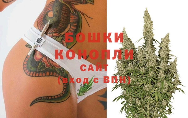 марки lsd Белокуриха