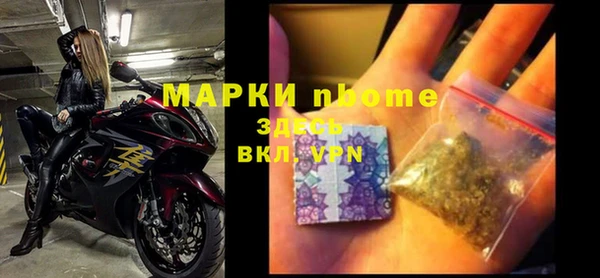 прущие грибы Белоозёрский