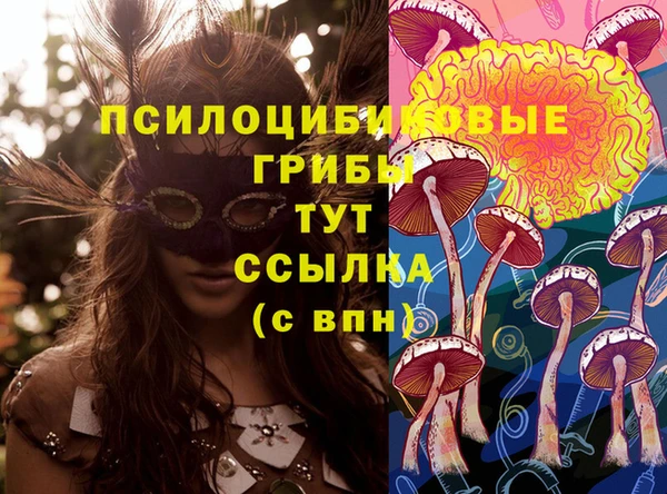 прущие грибы Белоозёрский