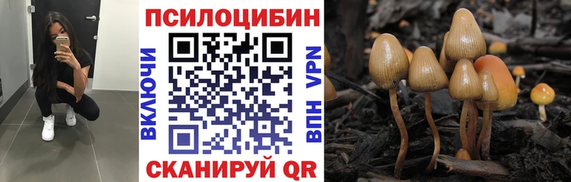 Купить закладки  Осташков  Галлюциногенные грибы Magic Shrooms 
